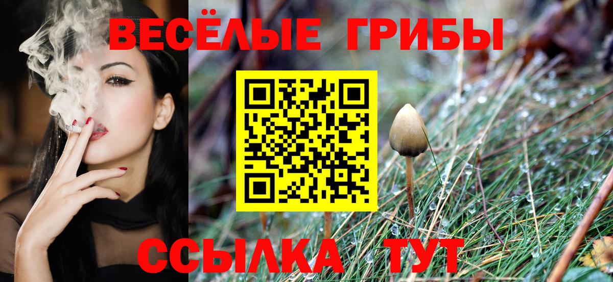 Выборг  Экстази  COCAIN  Вход с VPN  Бошки Шишки  Мефедрон кристаллы 